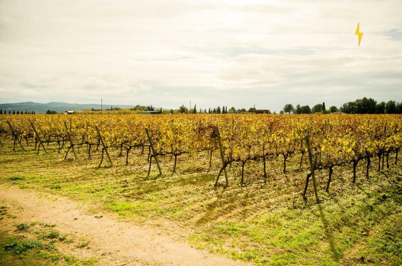 B&B Tina De Pacs, Close To Local Wineries Pacs del Penedes Dış mekan fotoğraf